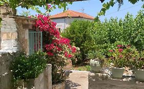 Sergios Village House